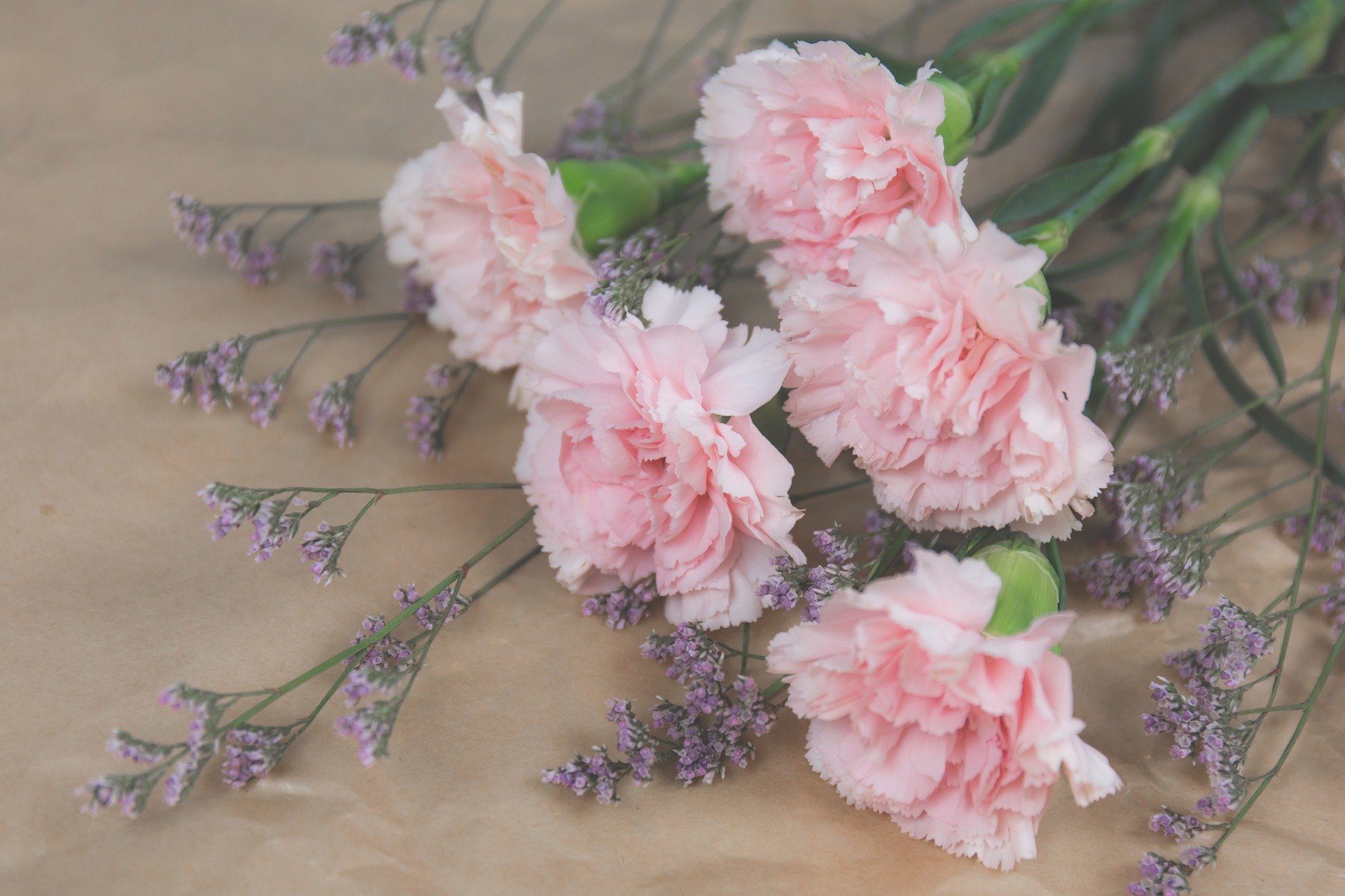 【母親・義母へのプレゼント】母の日にもらうと嬉しいカーネーション以外のお花は?